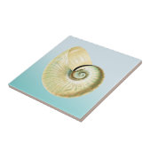 Nautilus shell tegeltje (Zijkant)