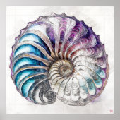 Nautilus Shell Tekening - Kunstdruk Poster (Voorkant)
