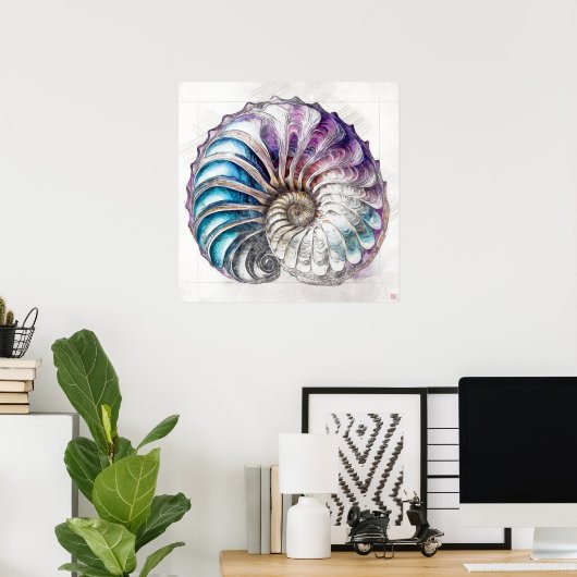 Nautilus Shell Tekening - Kunstdruk Poster (Thuiskantoor)
