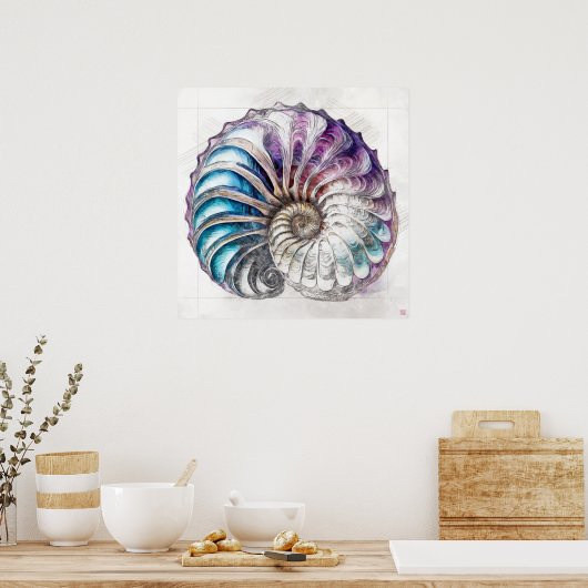 Nautilus Shell Tekening - Kunstdruk Poster (Keuken)