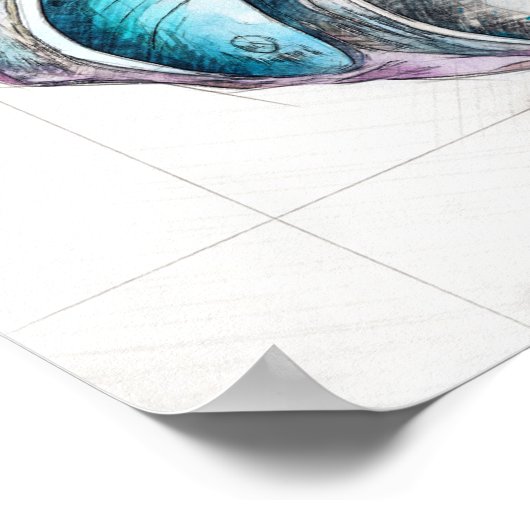 Nautilus Shell Tekening - Kunstdruk Poster (Hoek)