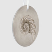 Nautilus Shell Tekening Ornament (voorkant)