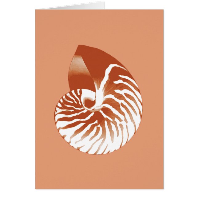 Nautilus shell - terracotta en white (Voorkant)
