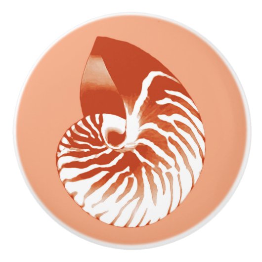 Nautilus shell - terracotta en white keramische knop (Voorkant)