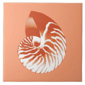 Nautilus shell - terracotta en white tegeltje (Voorkant)