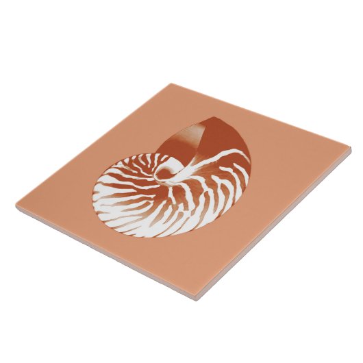 Nautilus shell - terracotta en white tegeltje (Zijkant)