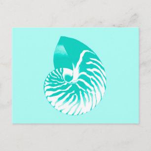 Nautilus shell - turquoise , aqua en white briefkaart