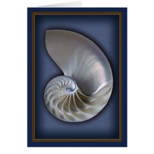 Nautilus Shell Verticaal 2