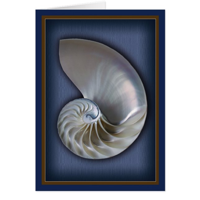 Nautilus Shell Verticaal 2 (Voorkant)