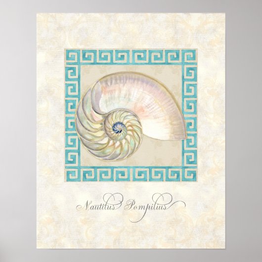 Nautilus Shell Waterverf Grieks Zeer belangrijk Da Poster (Voorkant)