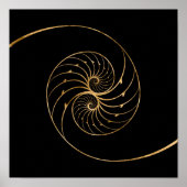 Nautilus Shells - Golden Pair Poster (Voorkant)