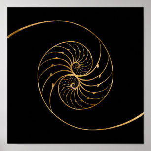 Nautilus Shells - Golden Pair Poster