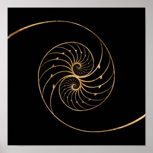 Nautilus Shells - Golden Pair Poster (Voorkant)
