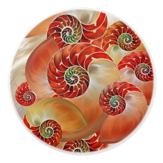 Nautilus Shells Keramische Knop (Voorkant)