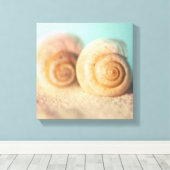 Nautilus Shells op strand Canvas Afdruk (Insitu (Houten vloer))