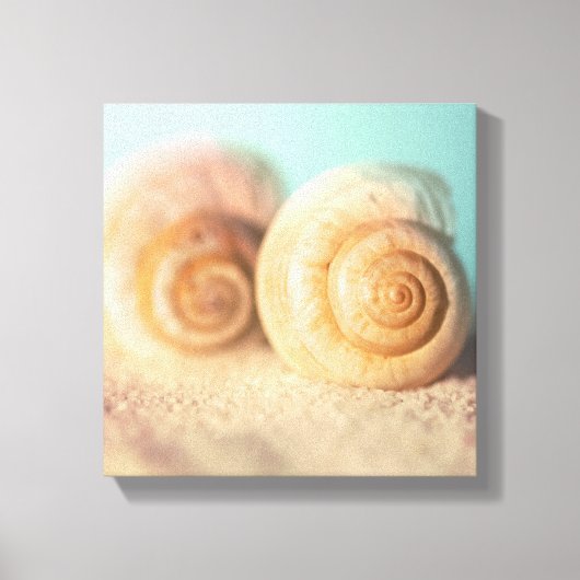 Nautilus Shells op strand Canvas Afdruk (Voorkant)