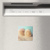 Nautilus Shells op strand Magneet (Insitu (Vaatwasser))