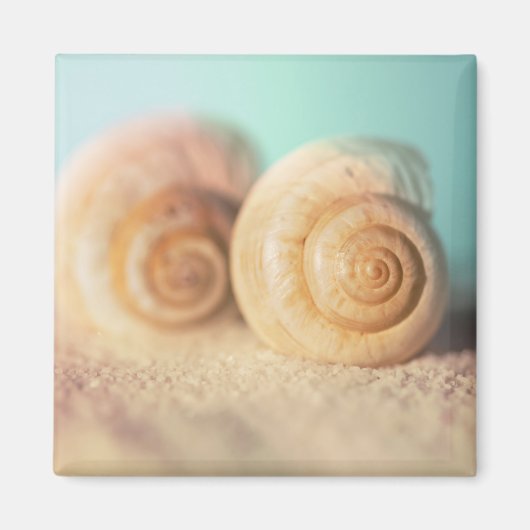 Nautilus Shells op strand Magneet (Voorkant)