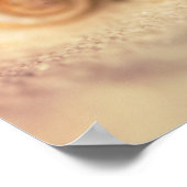 Nautilus Shells op strand Poster (Hoek)