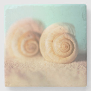 Nautilus Shells op strand Stenen Onderzetter