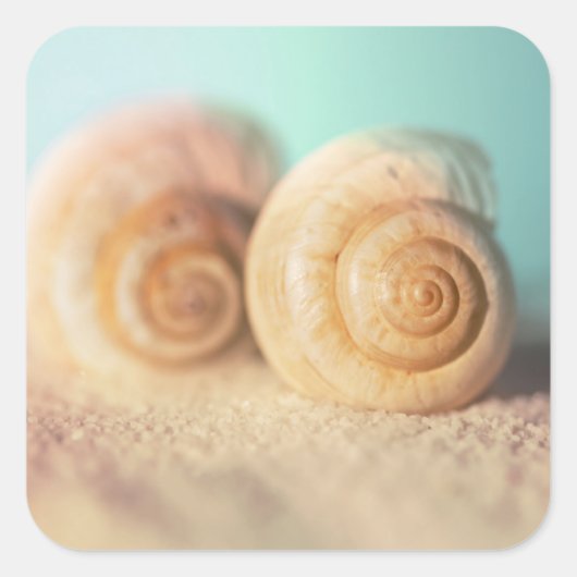 Nautilus Shells op strand Vierkante Sticker (Voorkant)