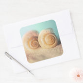 Nautilus Shells op strand Vierkante Sticker (Envelop)