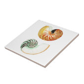 "NAUTILUS SHELLS" SEALIFE CERAMIC TEGEL TEGELTJE (Zijkant)