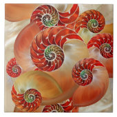 Nautilus Shells Tegeltje (Voorkant)