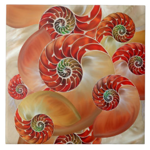 Nautilus Shells Tegeltje