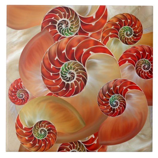 Nautilus Shells Tegeltje (Voorkant)