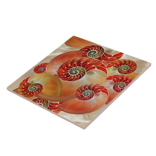 Nautilus Shells Tegeltje (Zijkant)