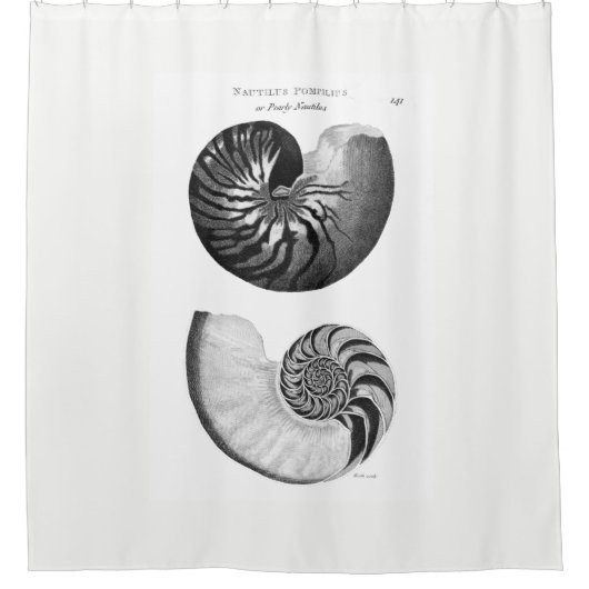 Nautilus Shower Curtain Douchegordijn (Voorkant)