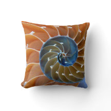 Nautilus spiralen