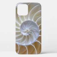 Nautilus Zee Shell Foto