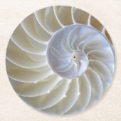 Nautilus Zee Shell Foto Ronde Kartonnen Onderzetter (Voorkant)