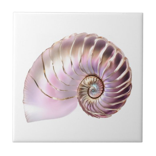 Nautilus zeeschelp roze goud 3D strand nautisch Tegeltje (Voorkant)