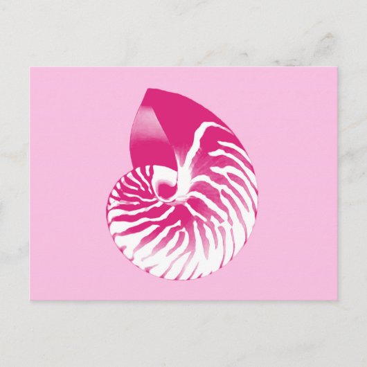 Nautilusschelp - fuchsia roze en wit briefkaart (Voorkant)