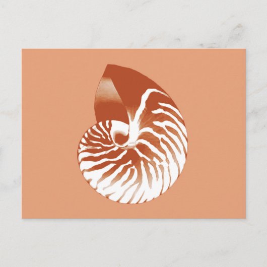 Nautilusschelp - terracotta en wit briefkaart (Voorkant)