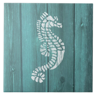 Nautisch Blauw Weerbord Seahorse Design Tegeltje
