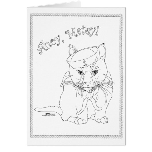 Nautisch kat (Voorkant)