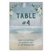 Nautisch net en aanjager kaart (Voorkant)