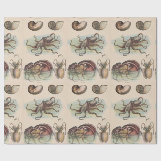 Nautisch - Octopus, Nautilus en Squid Cadeaupapier (Vlak)