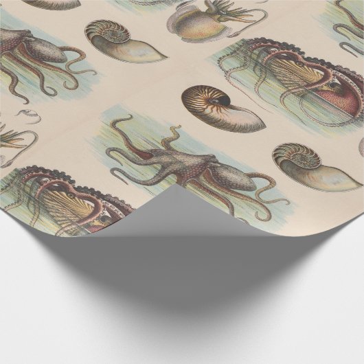  Nautisch - Octopus, Nautilus en Squid Cadeaupapier (Hoek)