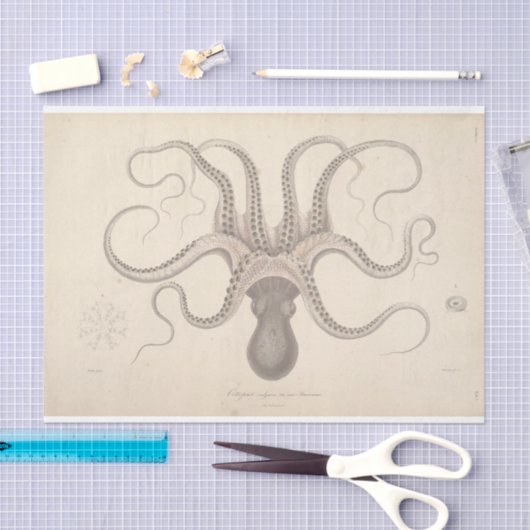 Nautisch octopusschrift Ephemera Decoupage Tissuepapier (Craft)