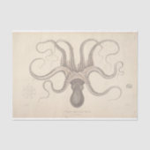 Nautisch octopusschrift Ephemera Decoupage Tissuepapier (Voorkant)