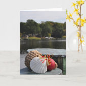 Nautisch Ornament op de Pier Kaart (Gele Bloem)