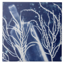 Nautisch Strand Cyanotype Accent