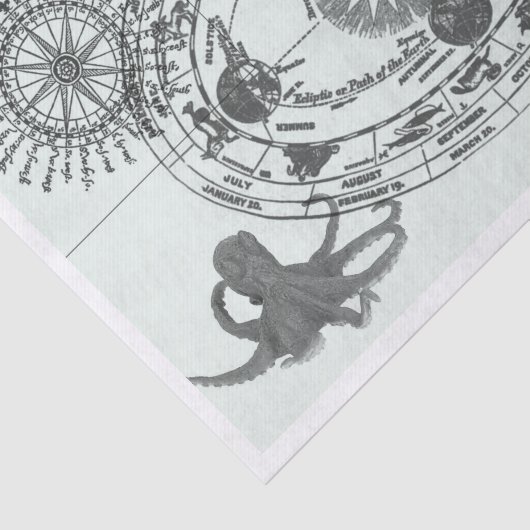 Nautisch Tissuepapier (Detail)