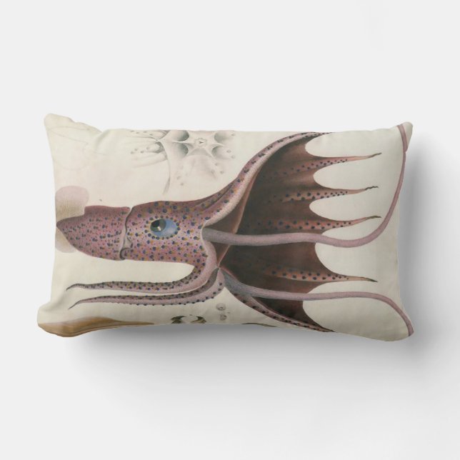 Nautisch/Zee leven/vierkant/octopus lumbar Pillow Kussen (Voorkant)