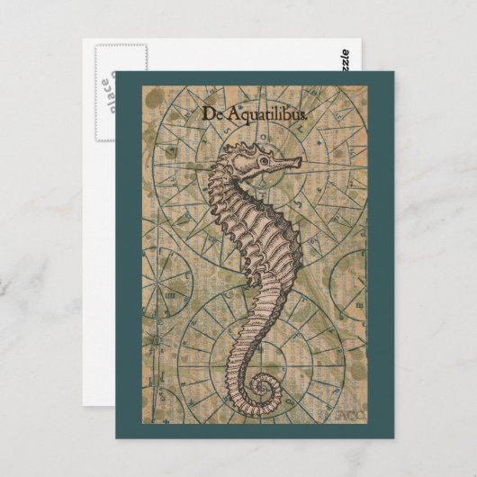 Nautisch zeepaardje briefkaart (Voorkant / Achterkant)